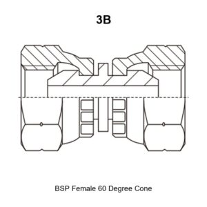 BSP female 60 degree cone hydraulic adapter 3B