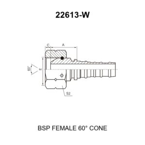 bsp female 60 degree cone fitting 22613w series