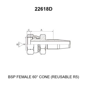 bsp female 60 degree cone fitting 22618d r5