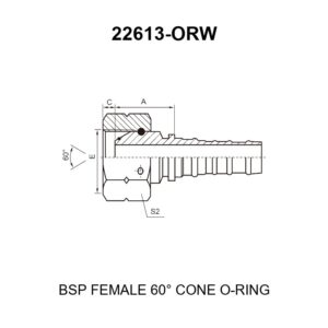 bsp female 60 degree cone o ring fitting 22613 orw