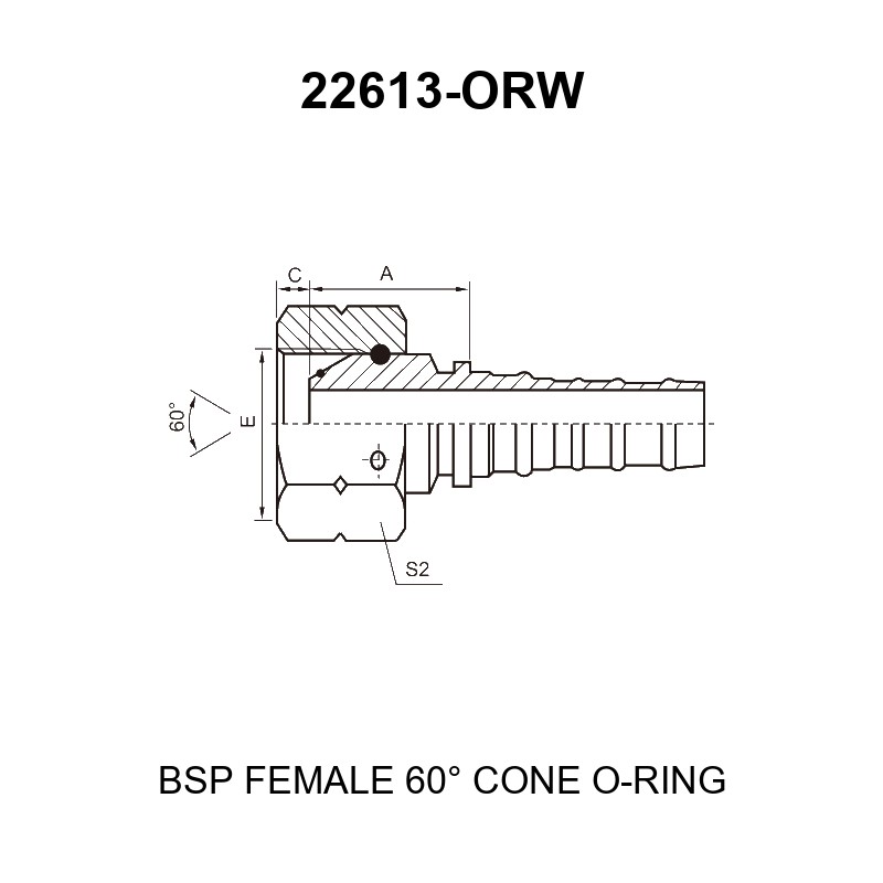 bsp female 60 degree cone o ring fitting 22613 orw