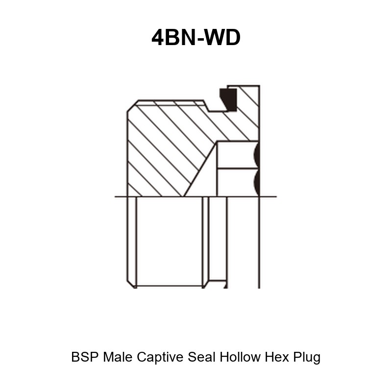 BSP male captive seal hollow hex plug hydraulic adapter 4BN-WD