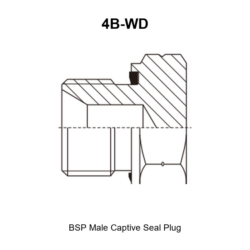 BSP male captive seal plug hydraulic adapter 4B-WD