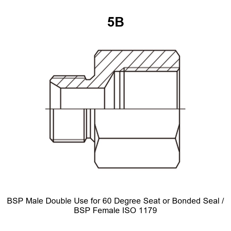 BSP male double use for 60 degree seat or bonded seal BSP female ISO 1179 hydraulic adapter 5B