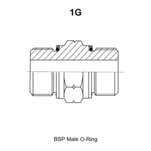 BSP Male O-Ring hydraulic adapter, model 1G, line drawing