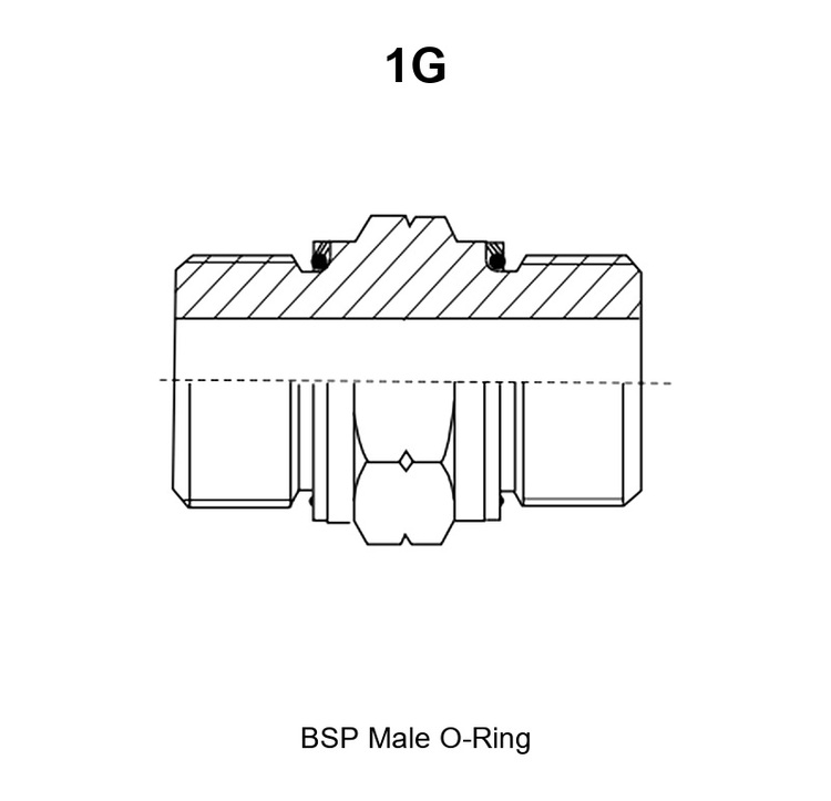 BSP Male O-Ring hydraulic adapter, model 1G, line drawing