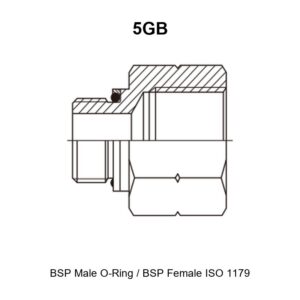 BSP male O-ring BSP female ISO 1179 hydraulic adapter 5GB