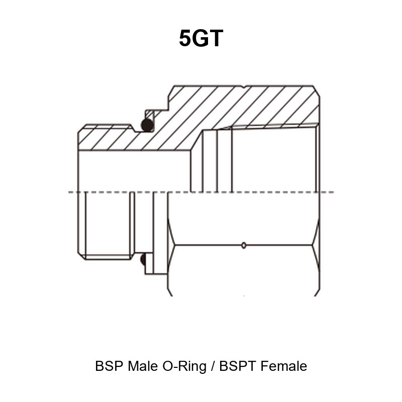 BSP male O-ring BSPT female hydraulic adapter 5GT