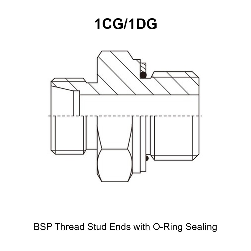 BSP thread stud ends with O-ring sealing hydraulic adapter 1CG/1DG
