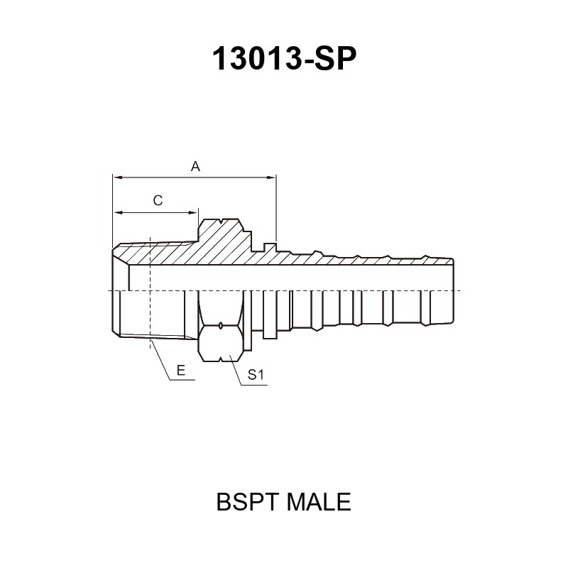 bspt male fitting 13013 sp