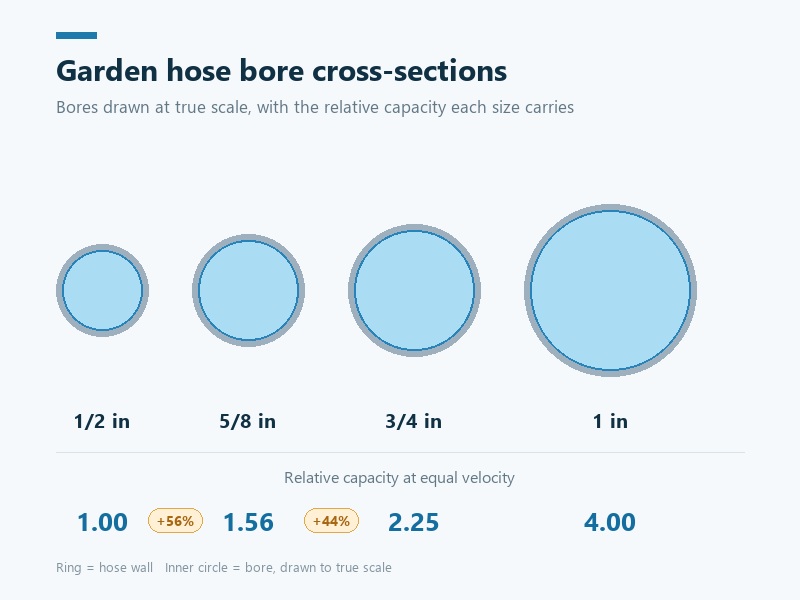 Cross-sections of 1/2-inch, 5/8-inch, 3/4-inch and 1-inch garden hose bores at the same scale, with relative capacity below
