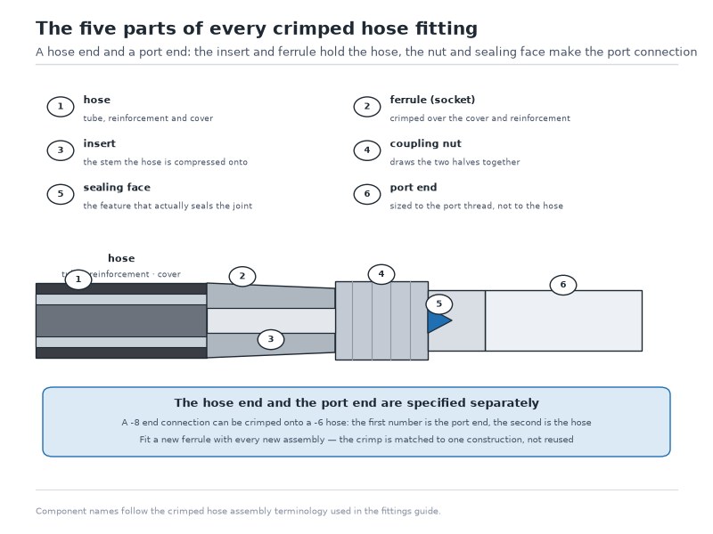 Cutaway view of a hydraulic hose fitting showing the insert, ferrule, coupling nut and sealing face, with the hose end and the port end labelled