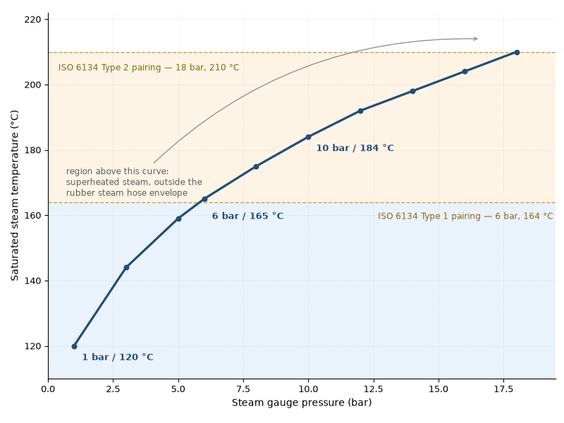 Saturated steam temperature against gauge pressure from 1 to 18 bar, with the ISO 6134 Type 1 and Type 2 envelopes marked at 164 and 210 degrees Celsius